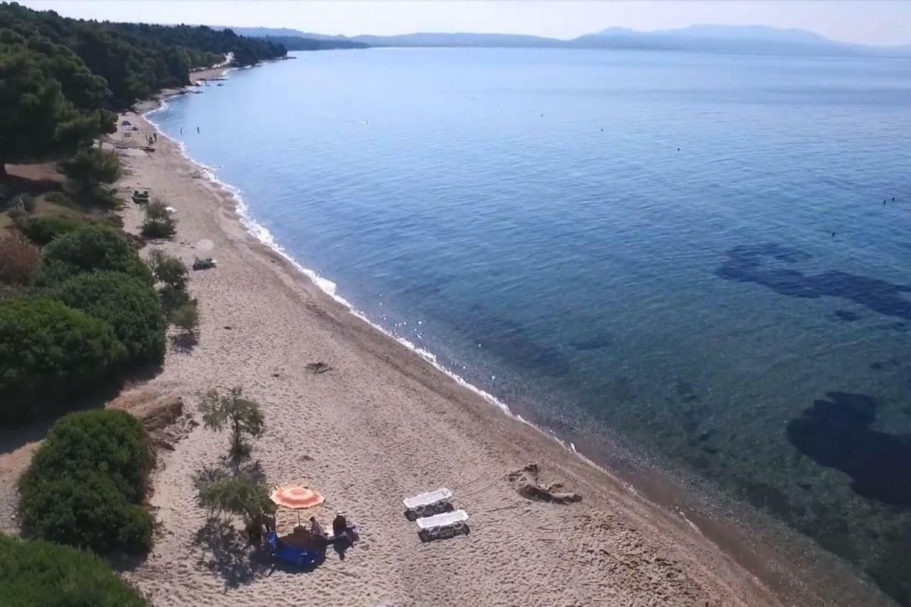 Metamorphosis - Halkidiki Apartment On The Beach Metamorfosi  Dış mekan fotoğraf