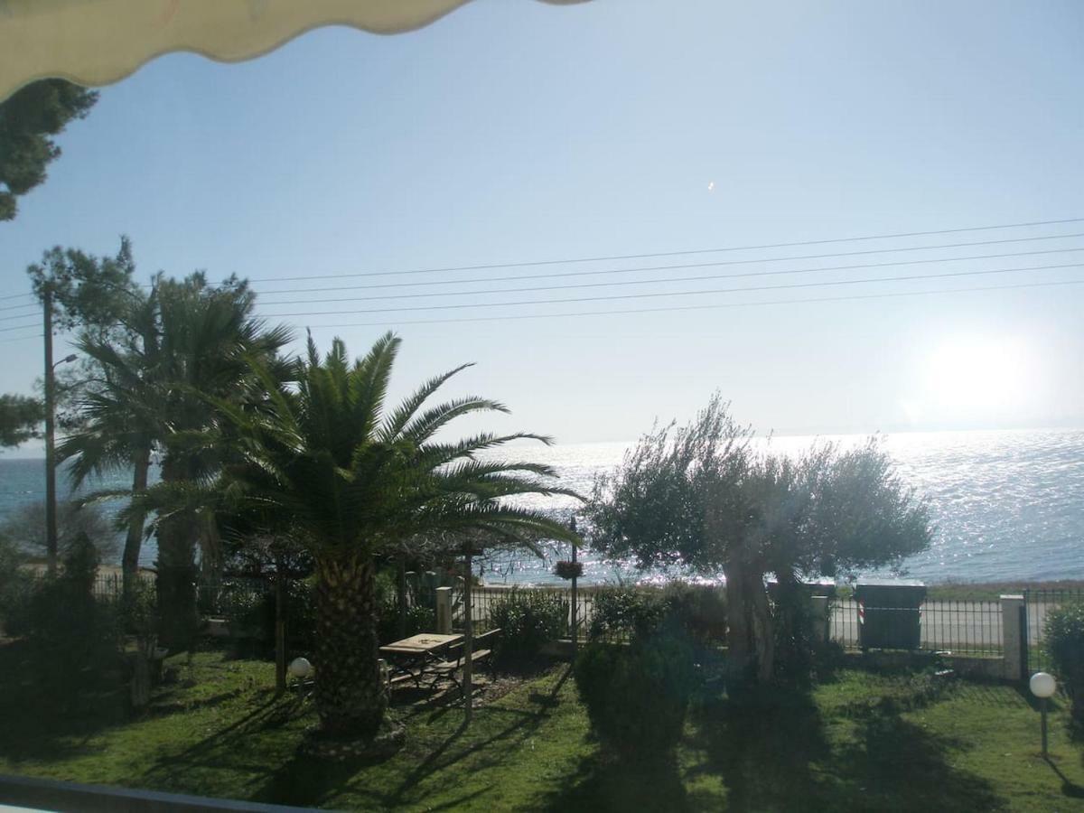Metamorphosis - Halkidiki Apartment On The Beach Metamorfosi  Dış mekan fotoğraf