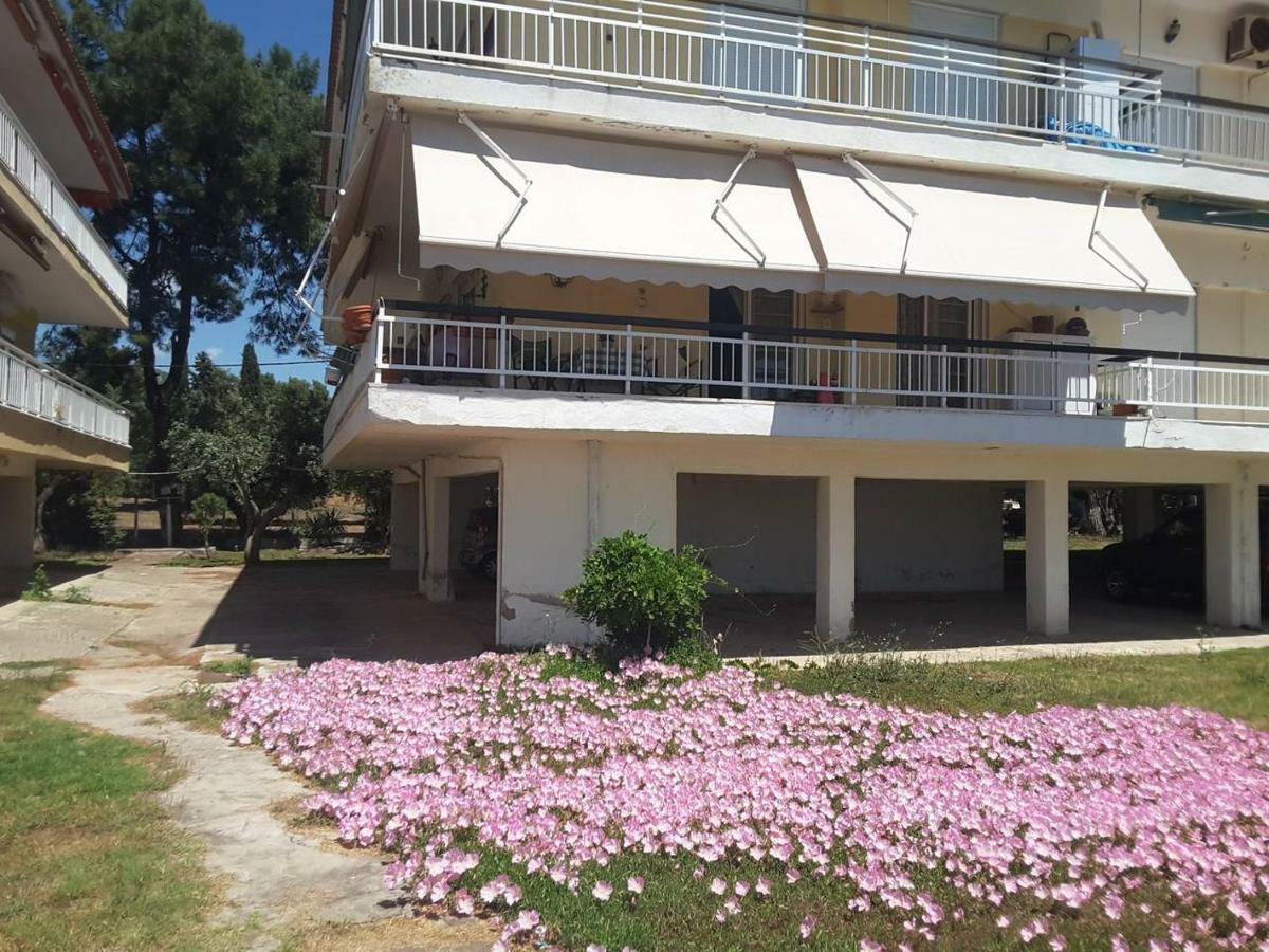 Metamorphosis - Halkidiki Apartment On The Beach Metamorfosi  Dış mekan fotoğraf